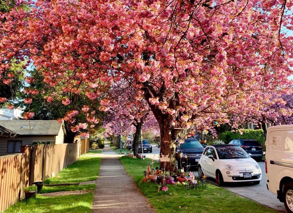 Private Guest Suite 10Mins To Downtown - King Bed - Bathtub - Free Parking Vancouver Exterior foto
